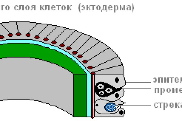 Кракен маркетплейс товары