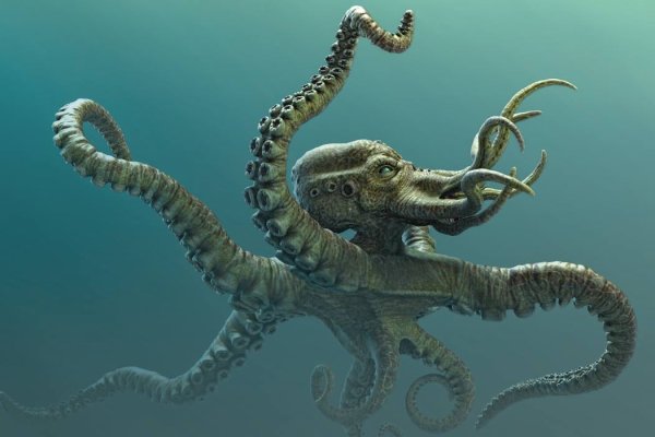 Kraken 2krn cc