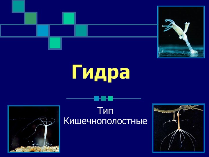 Кракен сайт вход официальный зеркало